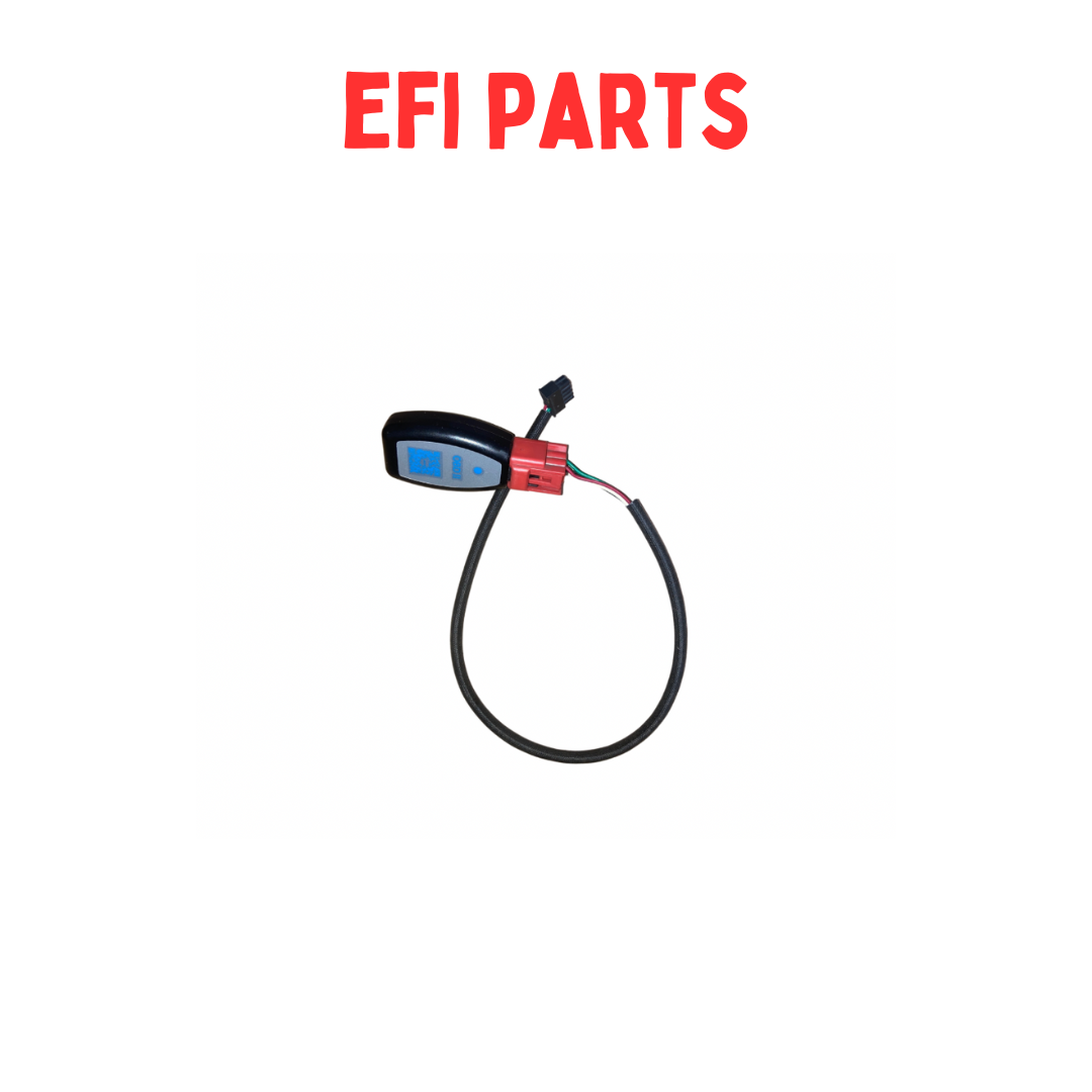 Trailmaster go kart EFI components. fuel pump, throttle body, bluetooth.