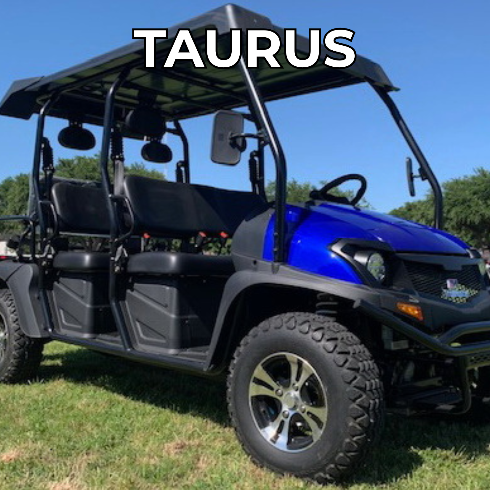 shop trailmaster taurus models online