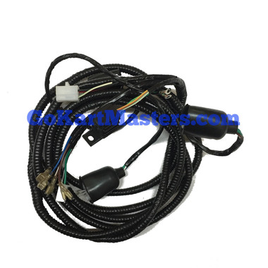 TrailMaster 150 XRS Main Wiring Harness On Frame