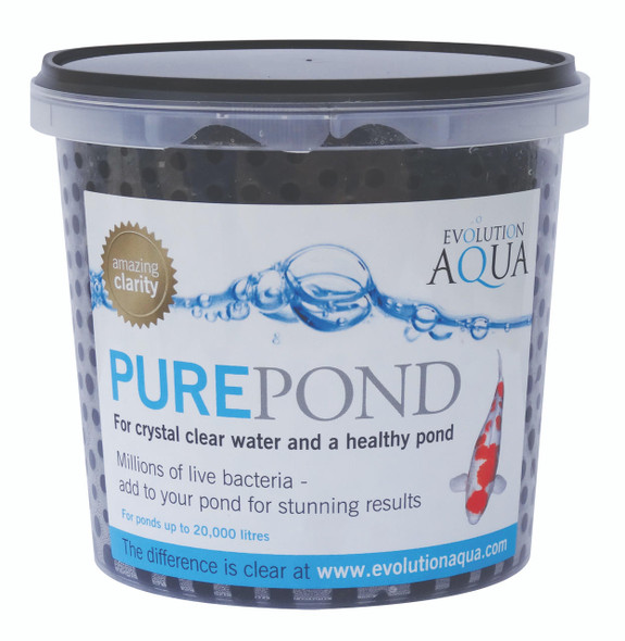 Pure Pond at AquaNooga.com - Image 2