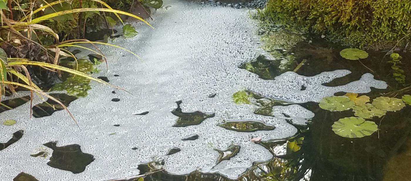 Pond Foam: What Causes Foam on Fish Ponds?