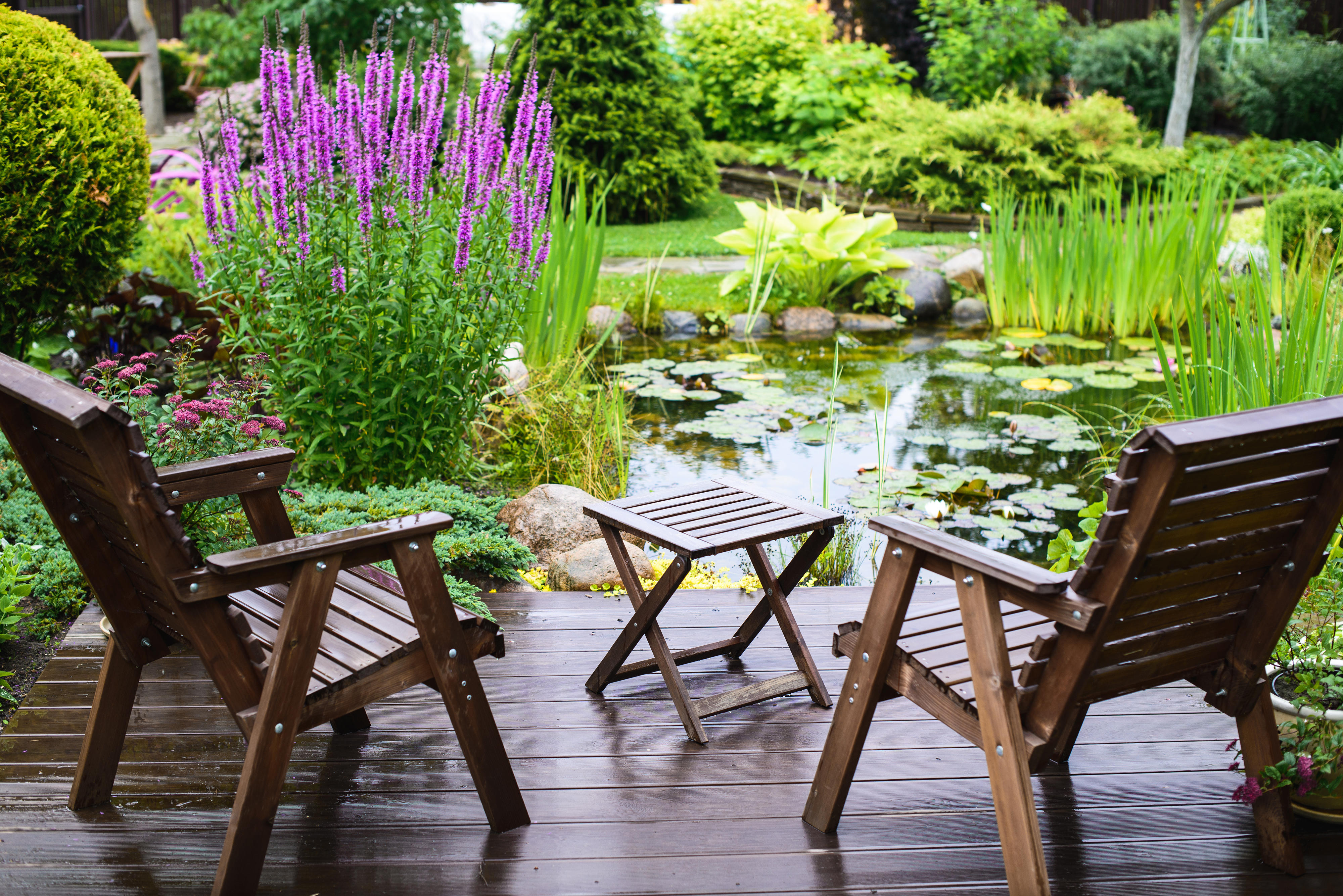 backyard fish ponds