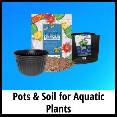 Pots & soil for pond plants