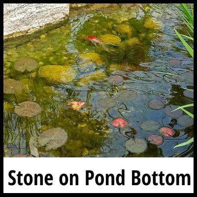 Article on putting rock in the pond