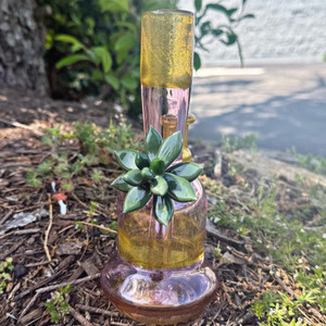 Katie B Succulent Raffle Ticket (CHESAPEAKE RAFFLE)