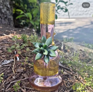 Katie B Succulent Raffle Ticket (CHESAPEAKE RAFFLE)