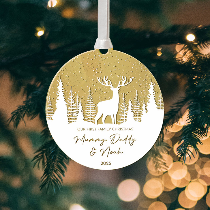 Personalised First Family Christmas Mirror Decoration, New Baby's 1st Christmas Keepsake Bauble