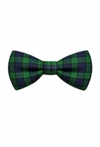 Campbell Tartan Bow Tie
