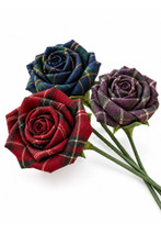 MacLeod of Lewis Tartan Stem Rose