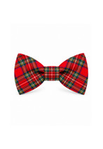Royal Stewart Signature Boy's Tartan Bow Tie