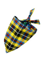 Yellow, black and blue tartan dog bandana tied at the top