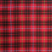Bruce tartan swatch