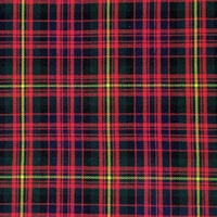 Carnegie tartan swatch