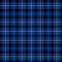 Fleming tartan swatch