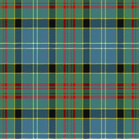 Paisley tartan swatch