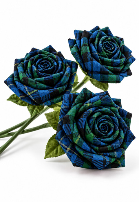 Campbell Tartan Campbell