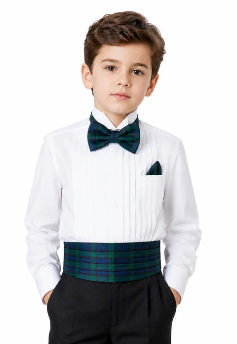 Robertson Boy's Tartan Cummerbund