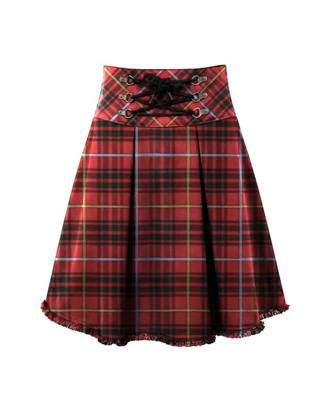 Bruce in Bruce Tartan