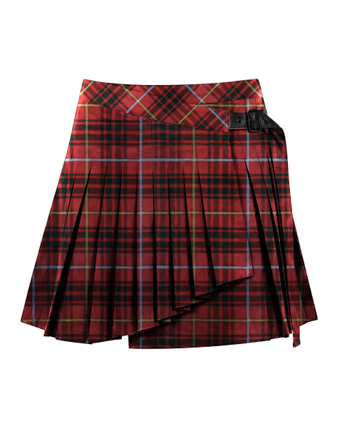 Bruce in Bruce Tartan