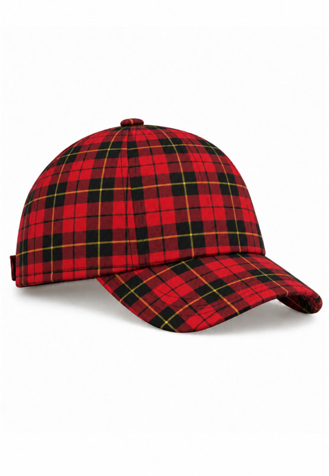 Wallace in Wallace Tartan