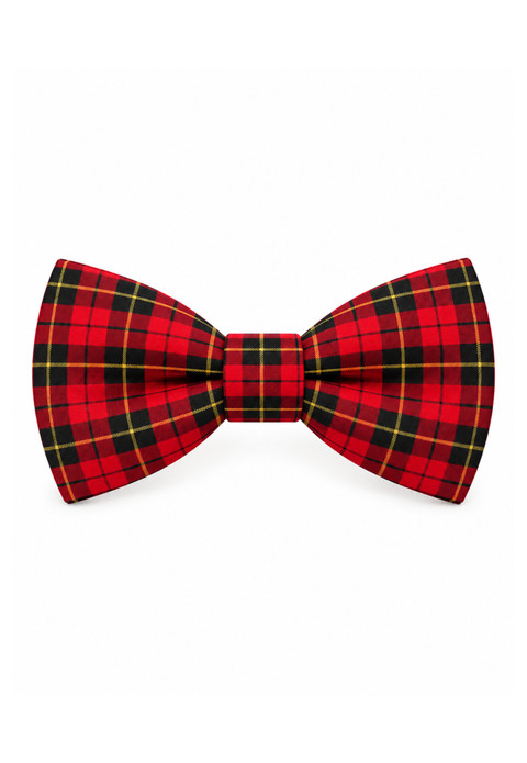 Wallace Tartan Wallace