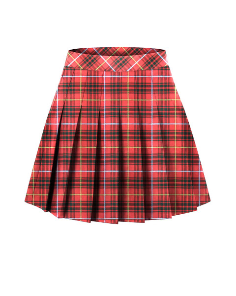 Tartan Plaid Skirts & Kilts in Bruce Tartan
