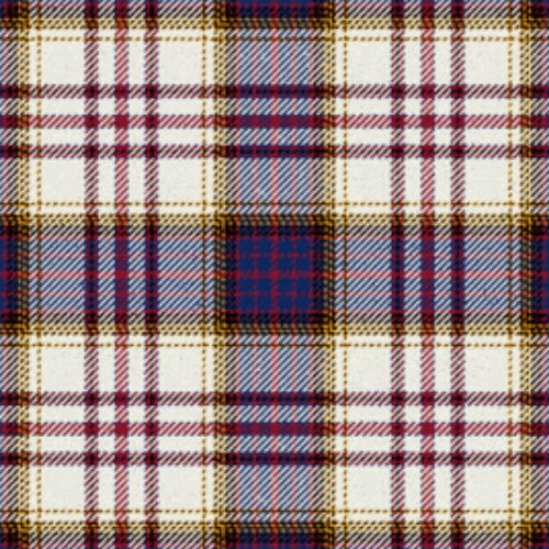 Anderson Arisaid Tartan swatch