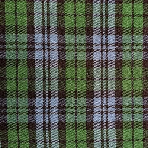 Campbell Ancient Tartan swatch