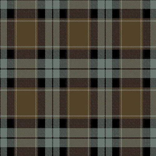 Graham of Menteith Weathered Tartan swatch