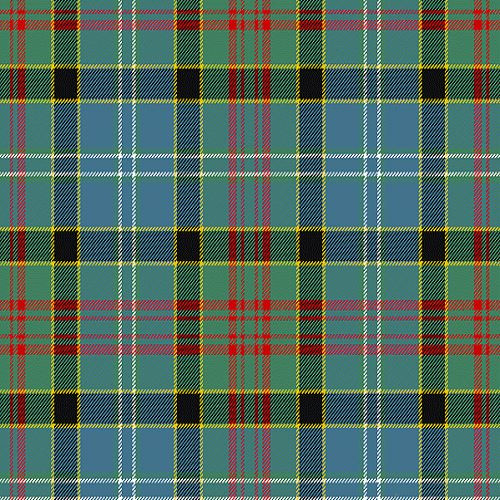 Paisley Tartan swatch