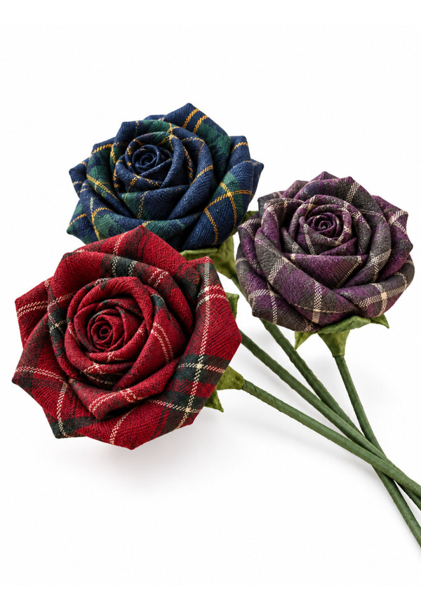 Tartan Stem Rose