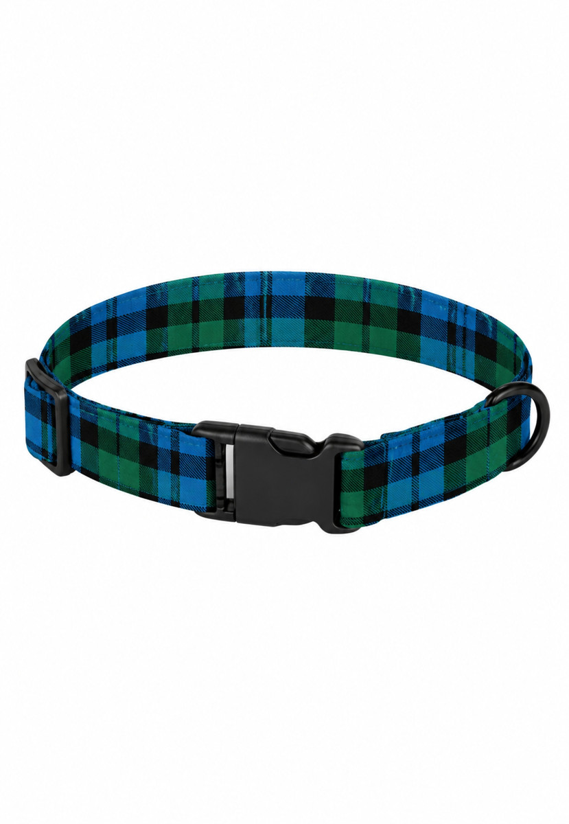 Campbell Tartan Dog Collar