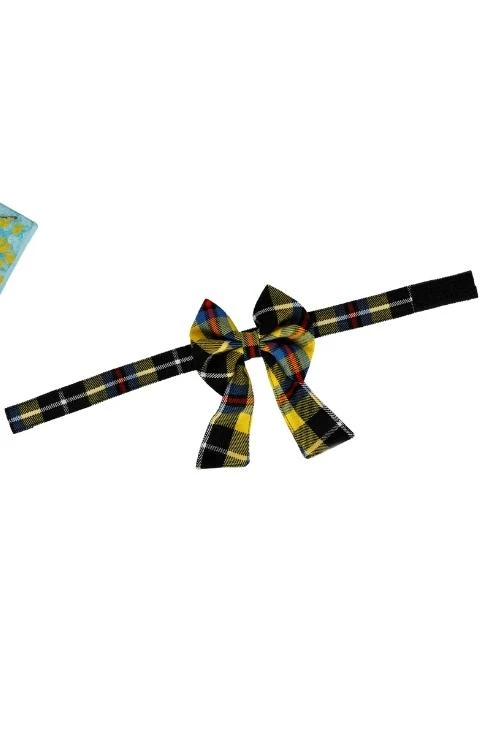 Yellow and black tartan dog bow tie on an adjustable strap