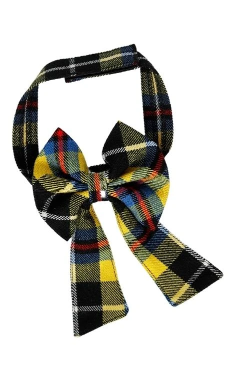 Close-up of yellow, black and blue tartan dog bow tie with long tails