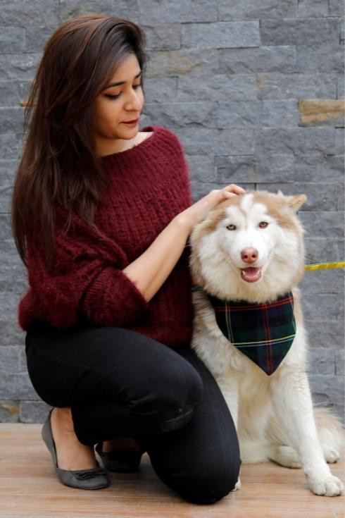 Buchanan Tartan Dog Bandana