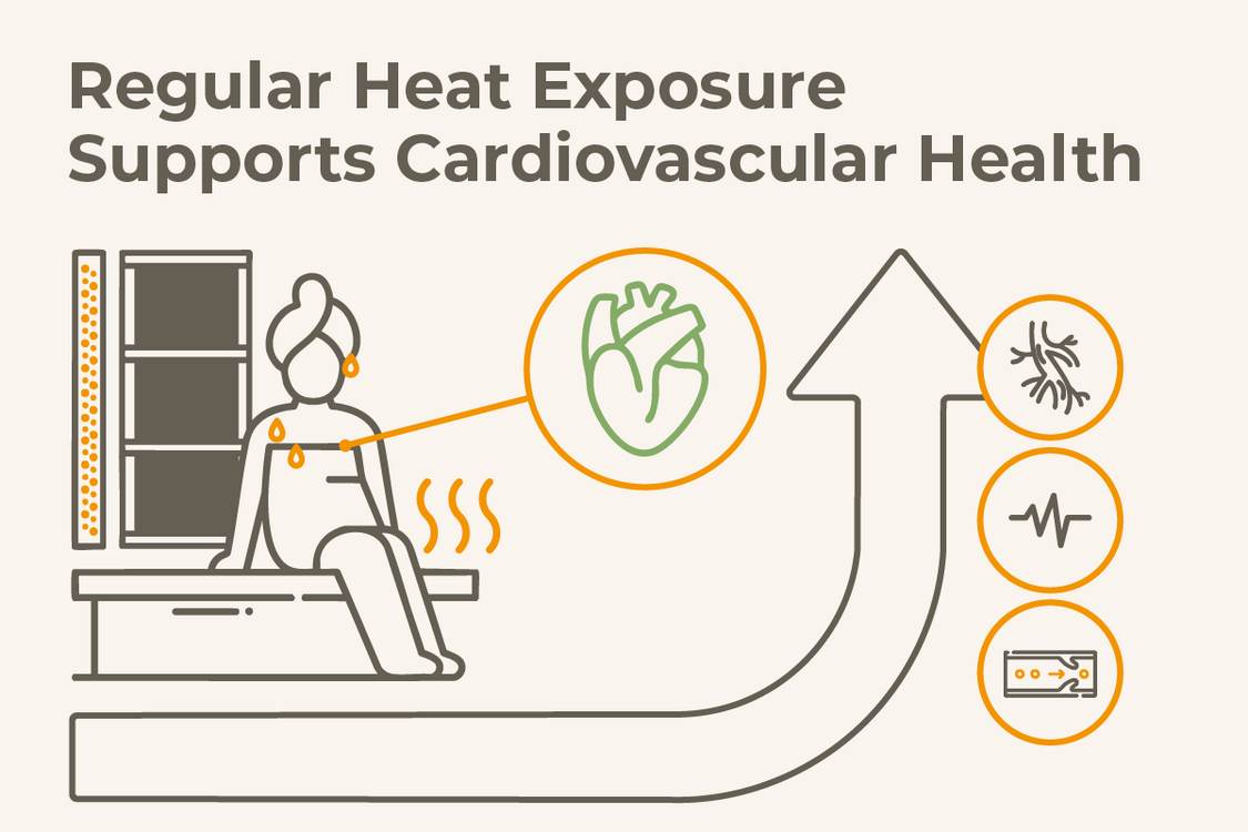 Why Sweating Is Good for You