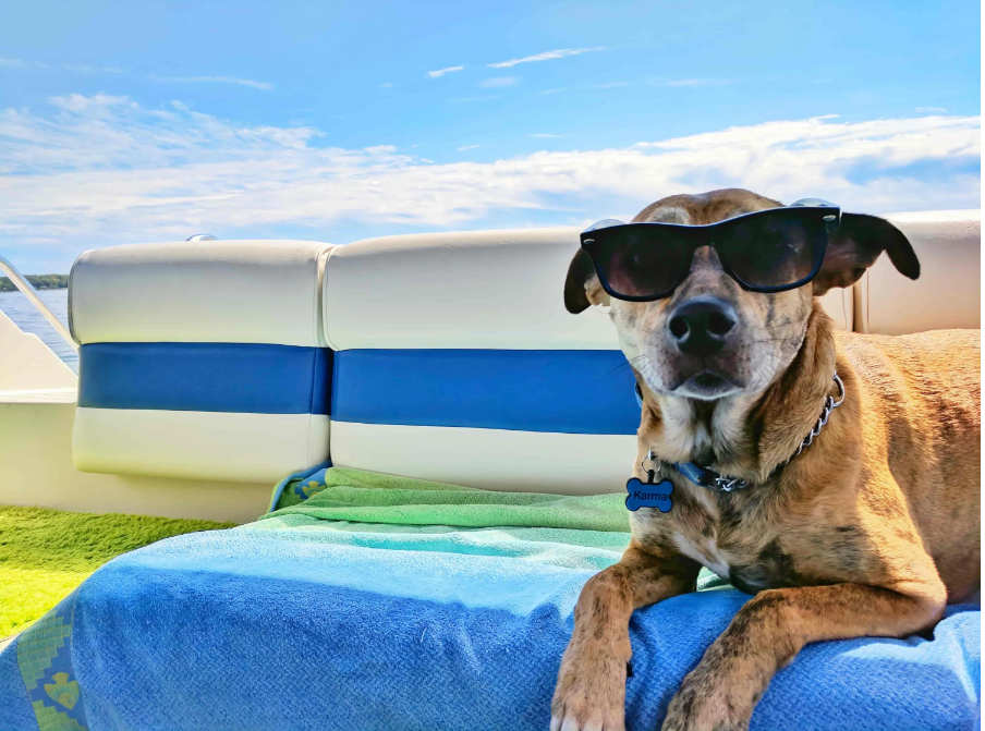 Why Sweating Is Good for You JNH Lifestyles