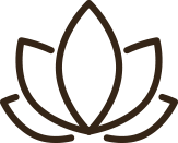 Wellness Trends