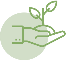 Sustainability