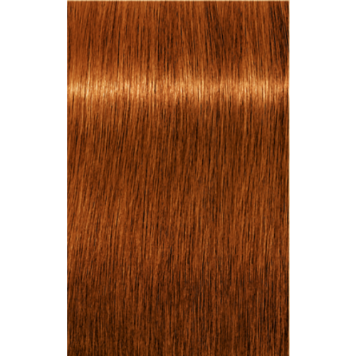 Absolutes 7-70 Medium Copper Natural Blonde