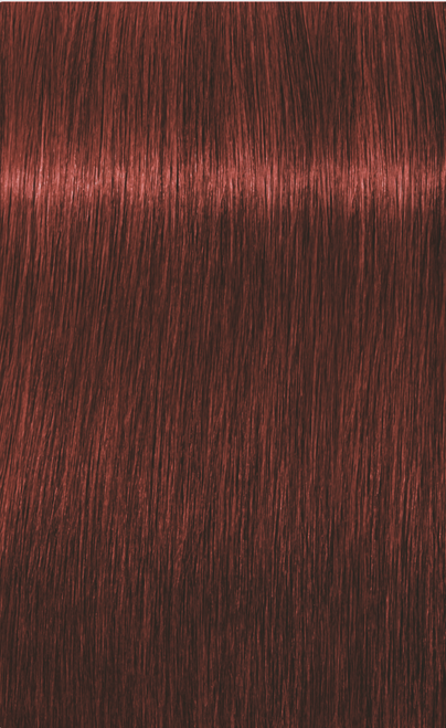 Absolutes 6-80 Dark Red Natural Blonde Absolutes 6-80 Dark Red Natural Blonde