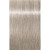 ROYAL 9.5-1 Pastel Ash Blonde