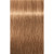 ROYAL 8-65 Light Auburn Gold Blonde