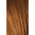 ESSENSITY 7-67 Medium Auburn Copper Blonde