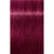 ROYAL 9-98 Extra Light Blonde Violet Red