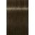 IGORA ROYAL 6-31 Dark Blonde Mattee Cendré