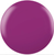 Cnd Vinylux Orchid Canopy #407