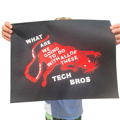 What Are We Going to do about these Tech Bros Print