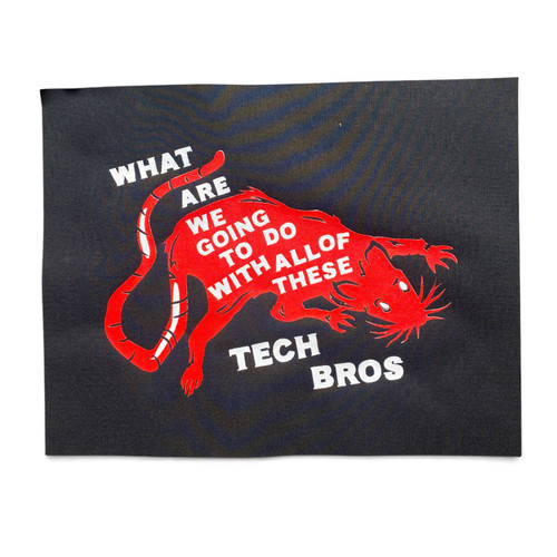 What Are We Going to do about these Tech Bros Print