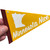 Copy of Bears, Beets, Battlestar Galactica pennant